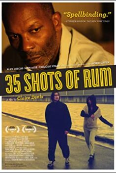 35 Tek Rom Türkçe Dublaj izle