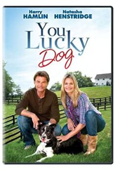 Aile Toplantısı Filmi Türkçe Dublaj izle