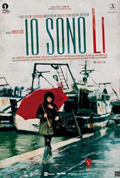 Benim Adım Li Türkçe Dublaj izle