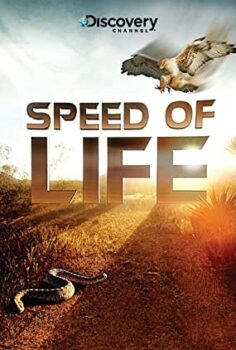 Hayatın Hızı Türkçe Dublaj izle