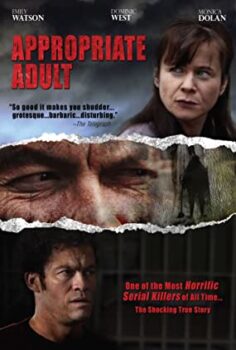 Hazır Yetişkin Türkçe Dublaj izle