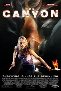 Kanyon – The Canyon Türkçe Dublaj izle