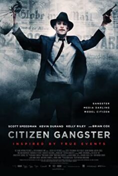 Kibar Soyguncu Türkçe Dublaj izle
