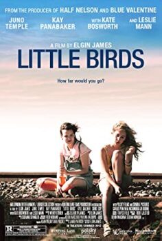 Küçük Kuşlar Türkçe Dublaj izle