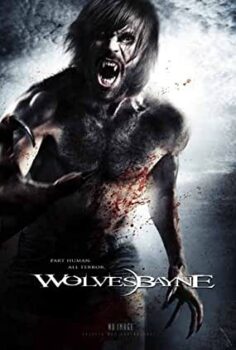 Lanetli Kurtadam Türkçe Dublaj izle