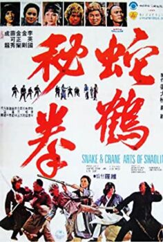 Shaolin’in Yılan Ve Turna Tekniği Türkçe Dublaj izle