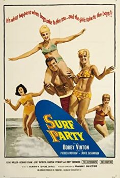 Yaz Partisi Türkçe Dublaj izle