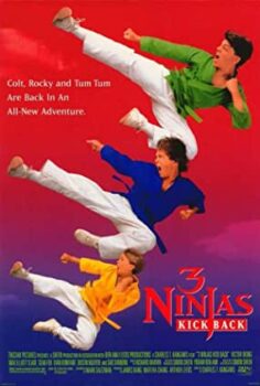 3 Küçük Ninja 2 Türkçe Dublaj izle