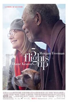 5 Kat Yukarı Türkçe Dublaj film izle hd