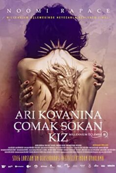 Arı Kovanına Çomak Sokan Kız The Girl Who Kicked The Hornest Nest Türkçe Altyazılı izle