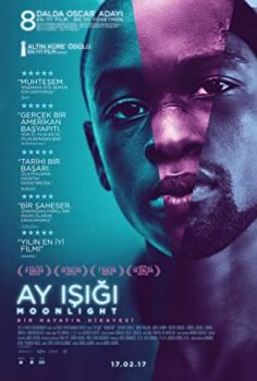 Ay Işığı (Moonlight) izle (2016)