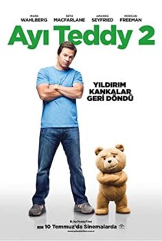 Ayi Teddy 2 (Ted 2)