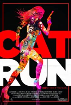 Cat Run Türkçe izle
