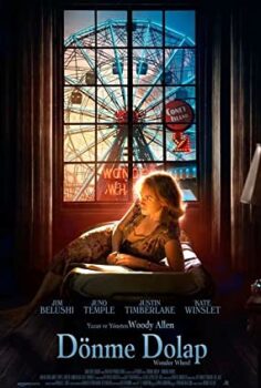 Dönme Dolap izle – Wonder Wheel (2017)