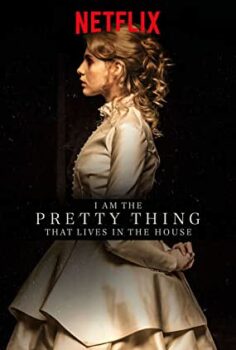 Evdeki Hayalet izle Türkçe Dublaj