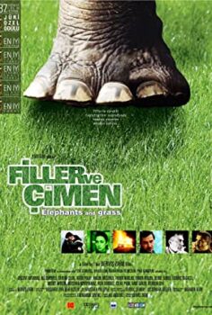Filler ve Çimen Türk filmi izle