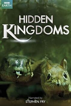 Gizli Krallık 3. Bölüm Hidden Kingdom Türkçe Dublaj izle