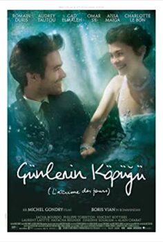 Günlerin Köpüğü – L’écume des jours izle (2013)