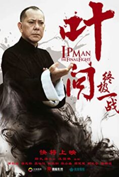 İp Man Son Dövüş Türkçe Dublaj izle