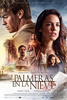 Kardaki Palmiyeler Türkçe Dublaj izle