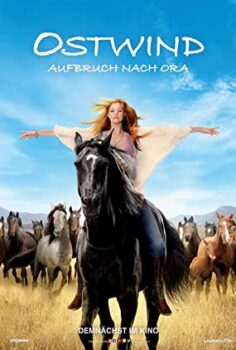 Kasırga 3 izle (2017)