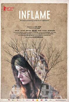 Kaygı (2017) Yerli Film