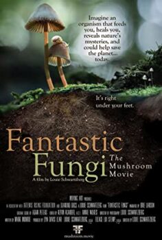 Mantarların Gizemli Dünyası – Fantastic Fungi izle (2019)
