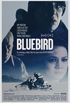 Mavi Kuş (Bluebird) Türkçe Dublaj İzle