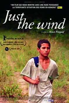 Sadece Rüzgar Türkçe Dublaj izle