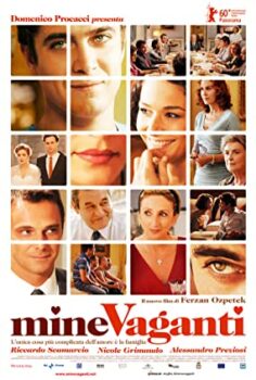 Serseri Mayınlar Türkçe Dublaj izle