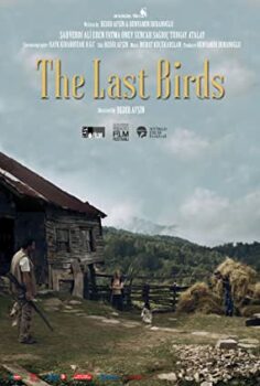 Son Kuşlar izle Yerli film