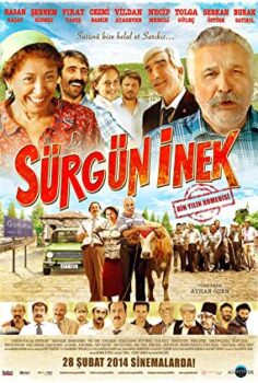 Sürgün İnek Türk Filmi izle