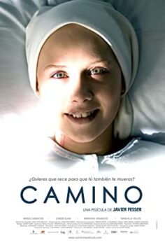 Yol Camino (2015)